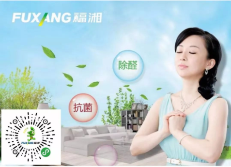 是真环保还是做营销，环保家居背后真相