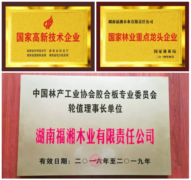 香港免费公开资料大全